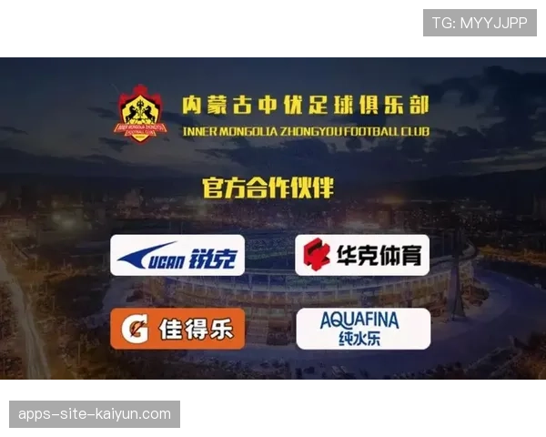 球场智慧票务用户投诉处理效率提升方案，智慧球场系统